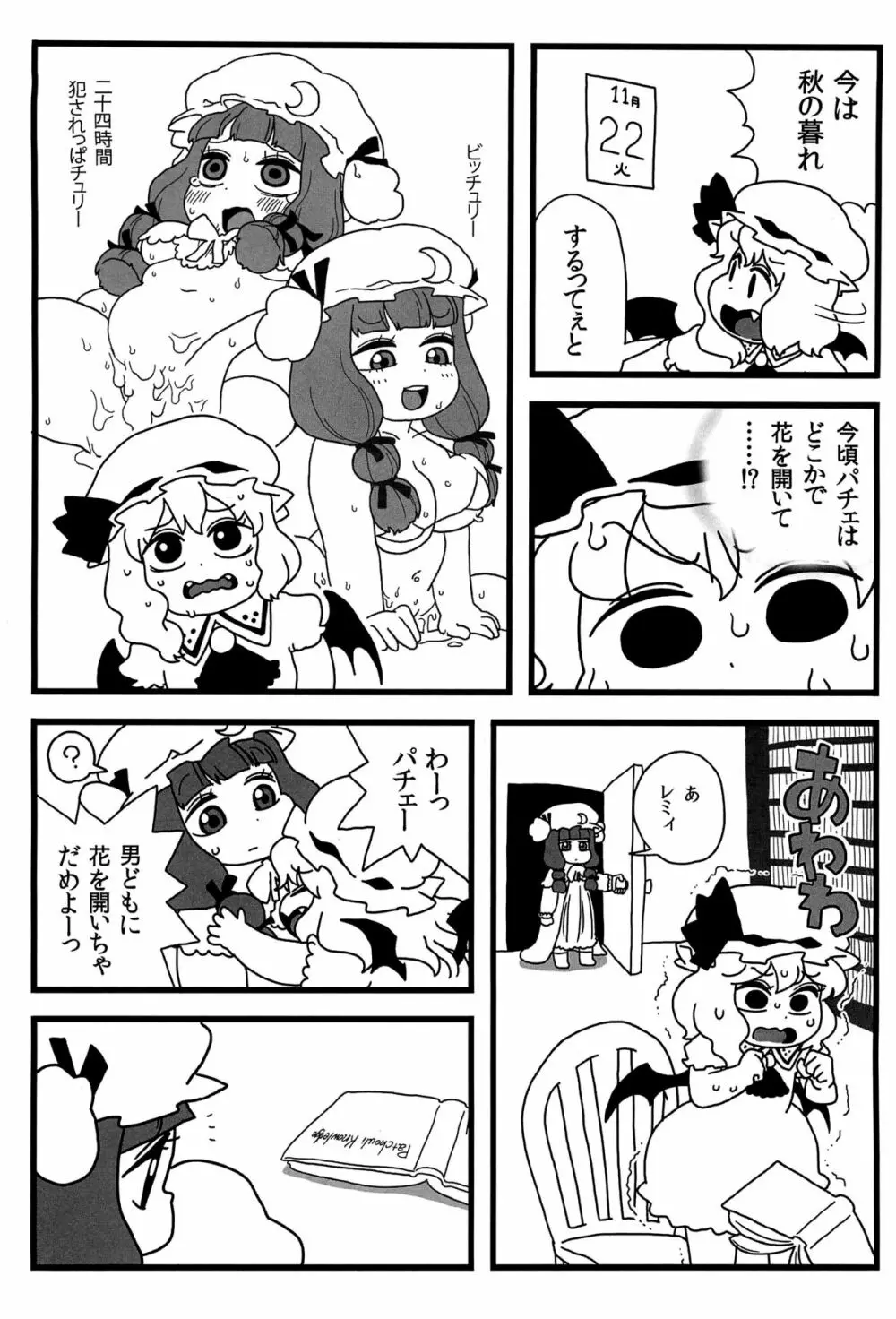 パチュリーがいっぱい - page11