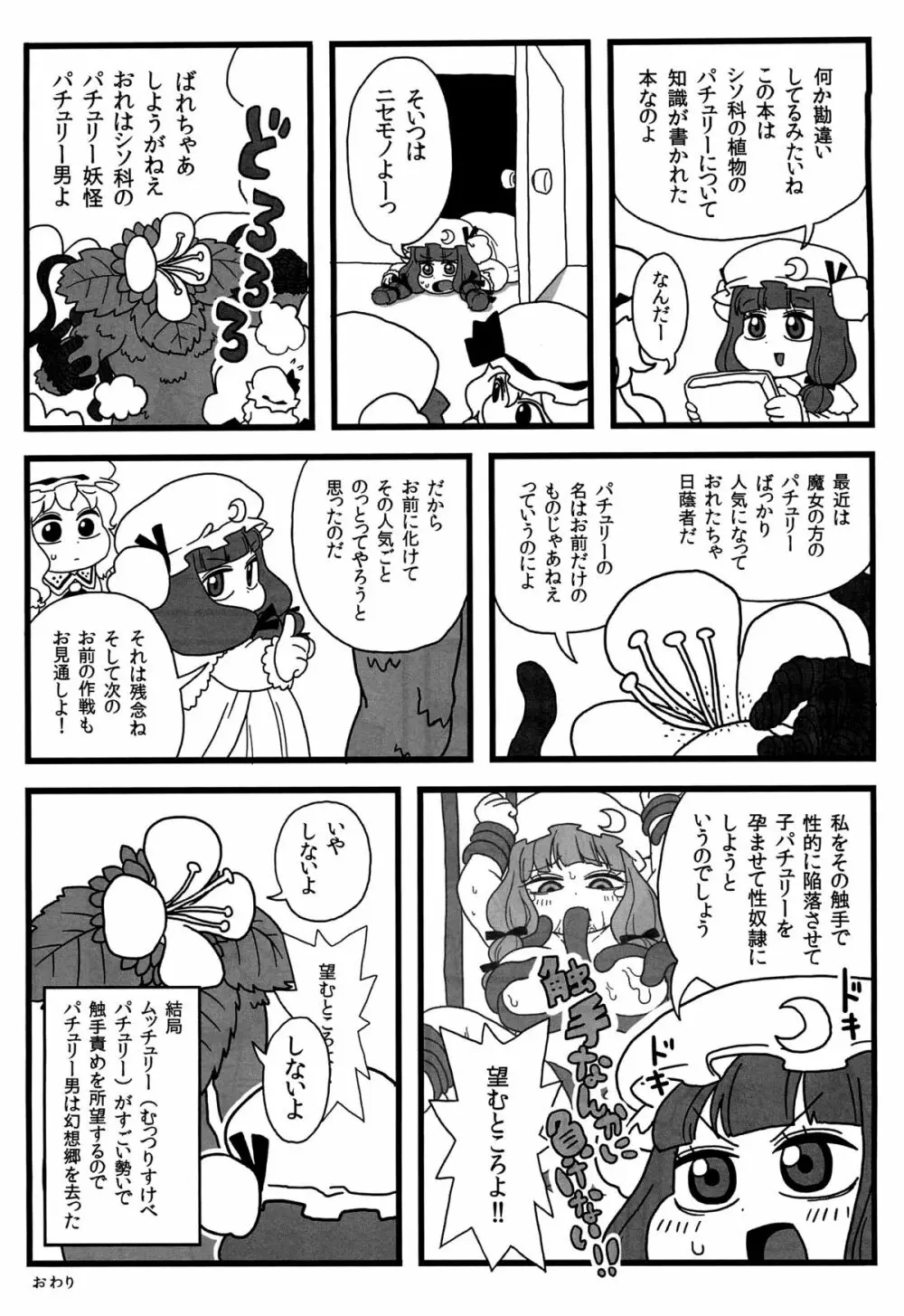 パチュリーがいっぱい - page12