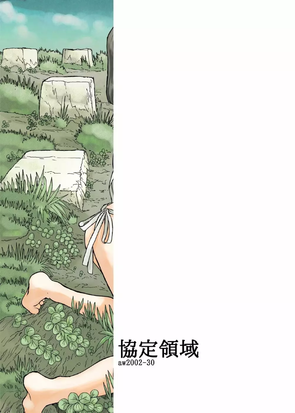 協定領域 - page30