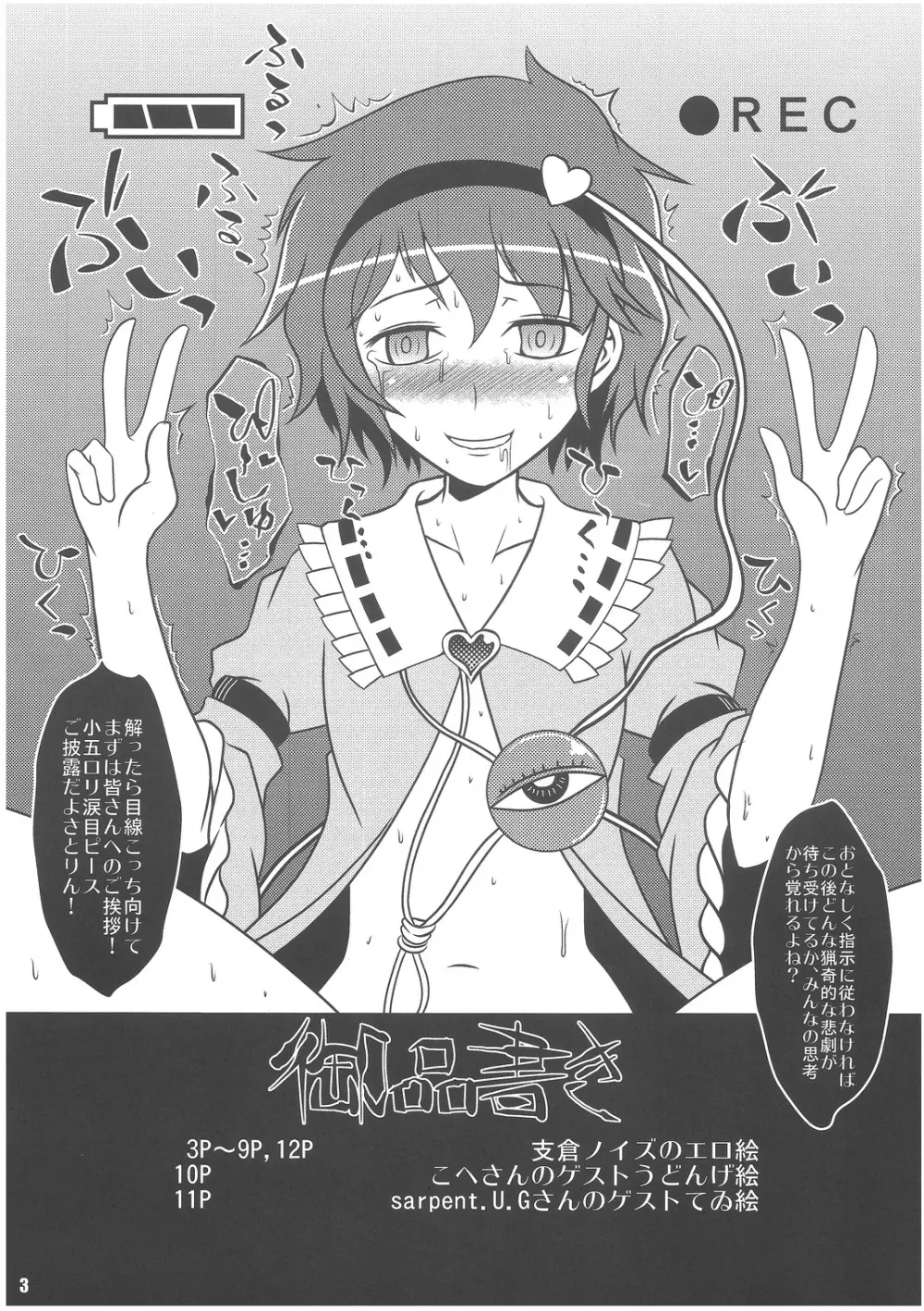 (例大祭8EX) [禍葬現実 (支倉ノイズ)] [Exhibition] (東方Project) - page2