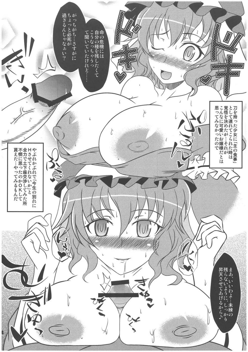 (例大祭8EX) [禍葬現実 (支倉ノイズ)] [Exhibition] (東方Project) - page3