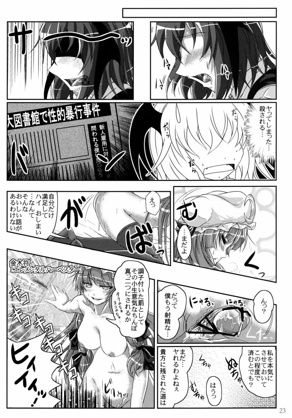 淫らでアブナイ大図書館 - page23