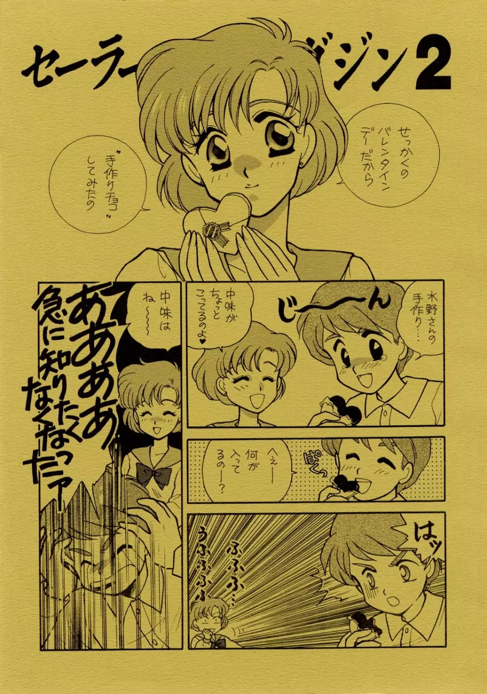 Sailor Moon JodanJanaiyo - page30