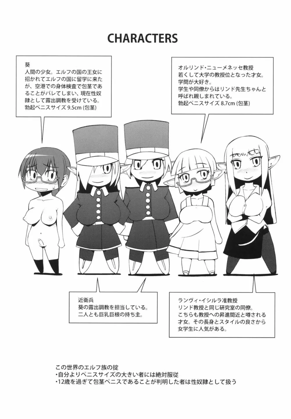 エルフの国の堕ちたい教授 - page3