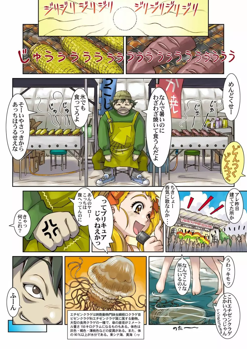 レモネード・サマーフェスタ 2007PLUS - page10