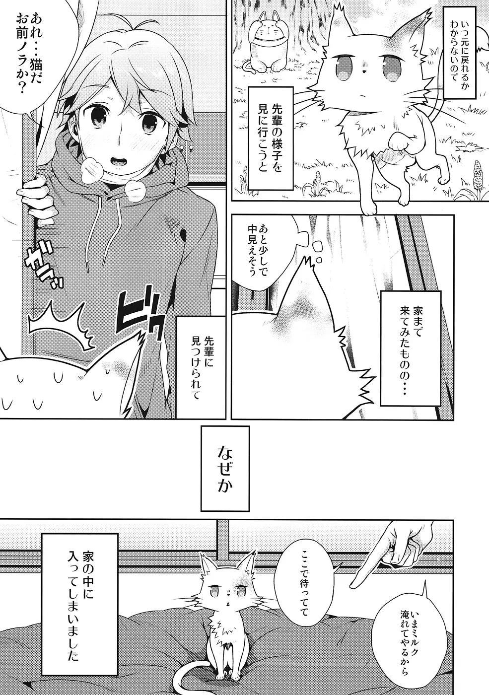 変態王子に犯された猫。 - page4