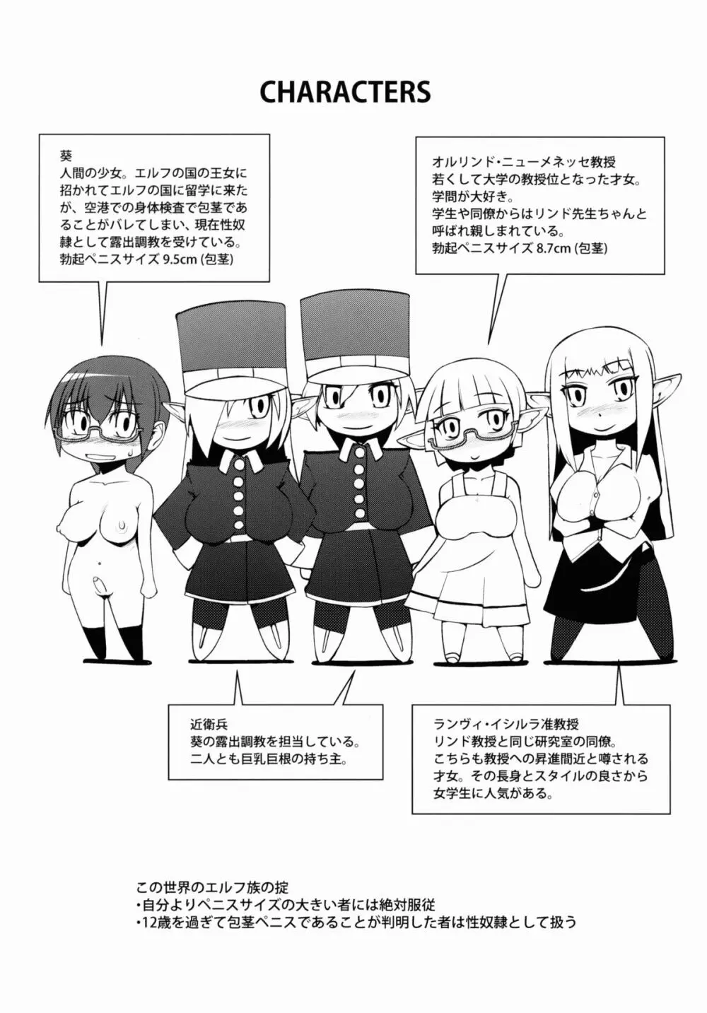 エルフの国の堕ちたい教授 - page4