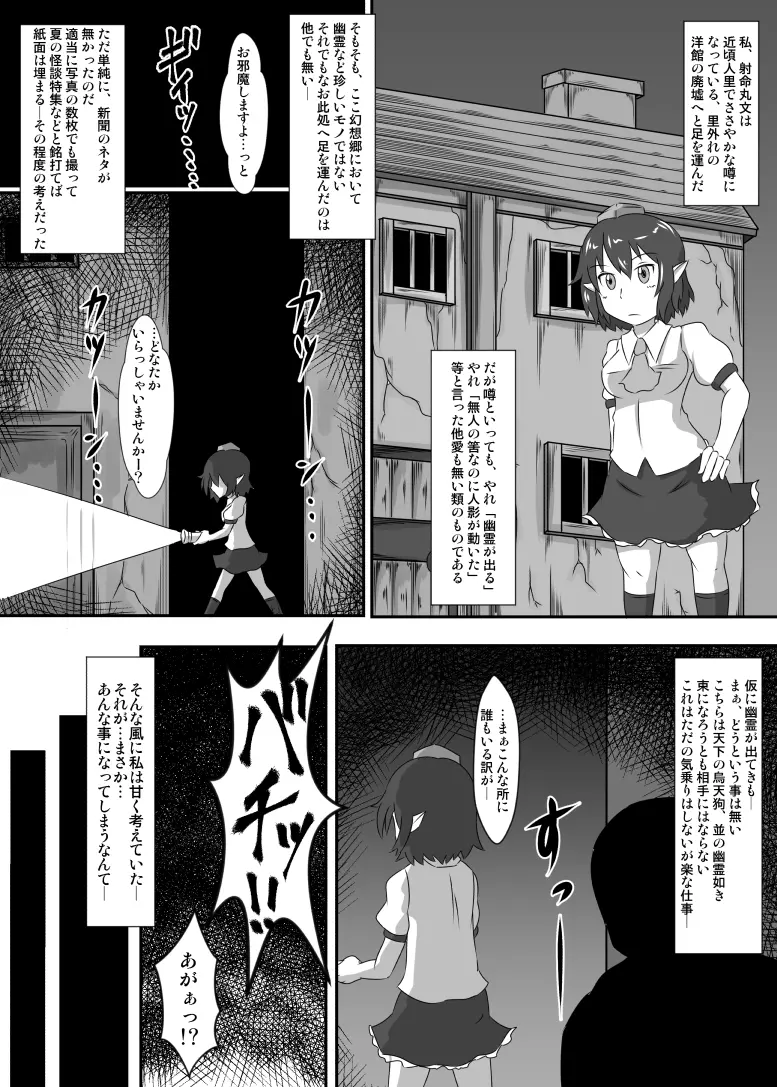 可哀想な文ちゃん - page3