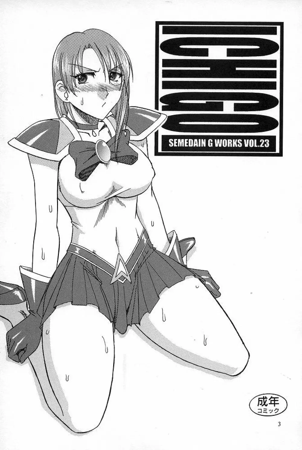 SEMEDAIN G WORKS vol.23 - ICHIGO - page2