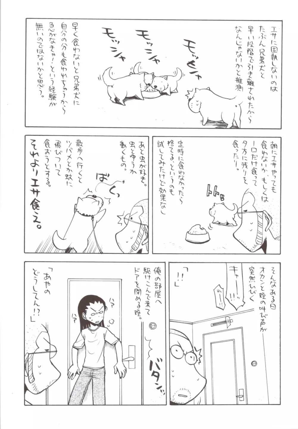 アクセル なにがし - page14