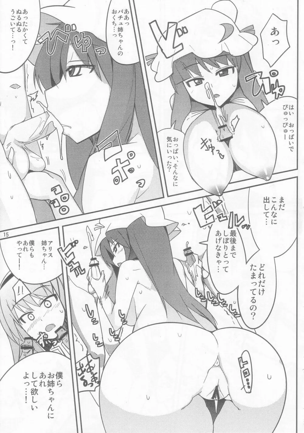 アリスとパチュリーに教わる正しい性教育 - page15