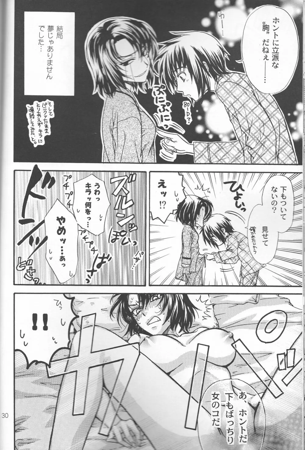 裏アスラン。～アスランが女の子になっちゃった!?～ - page30