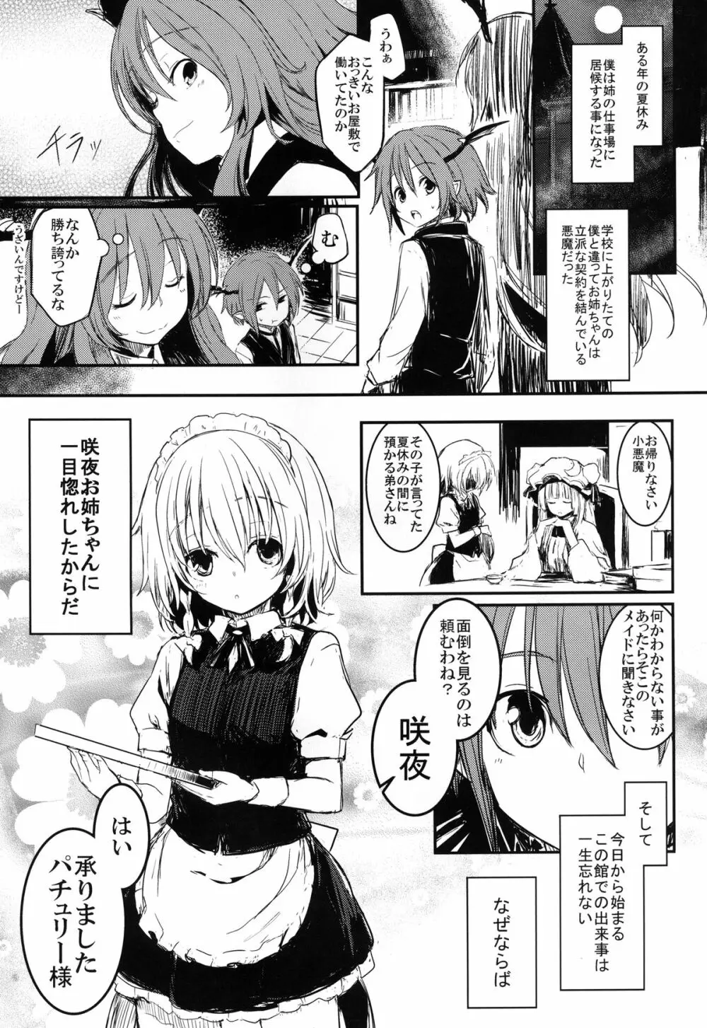 不思議なメイドとLibrary - page3