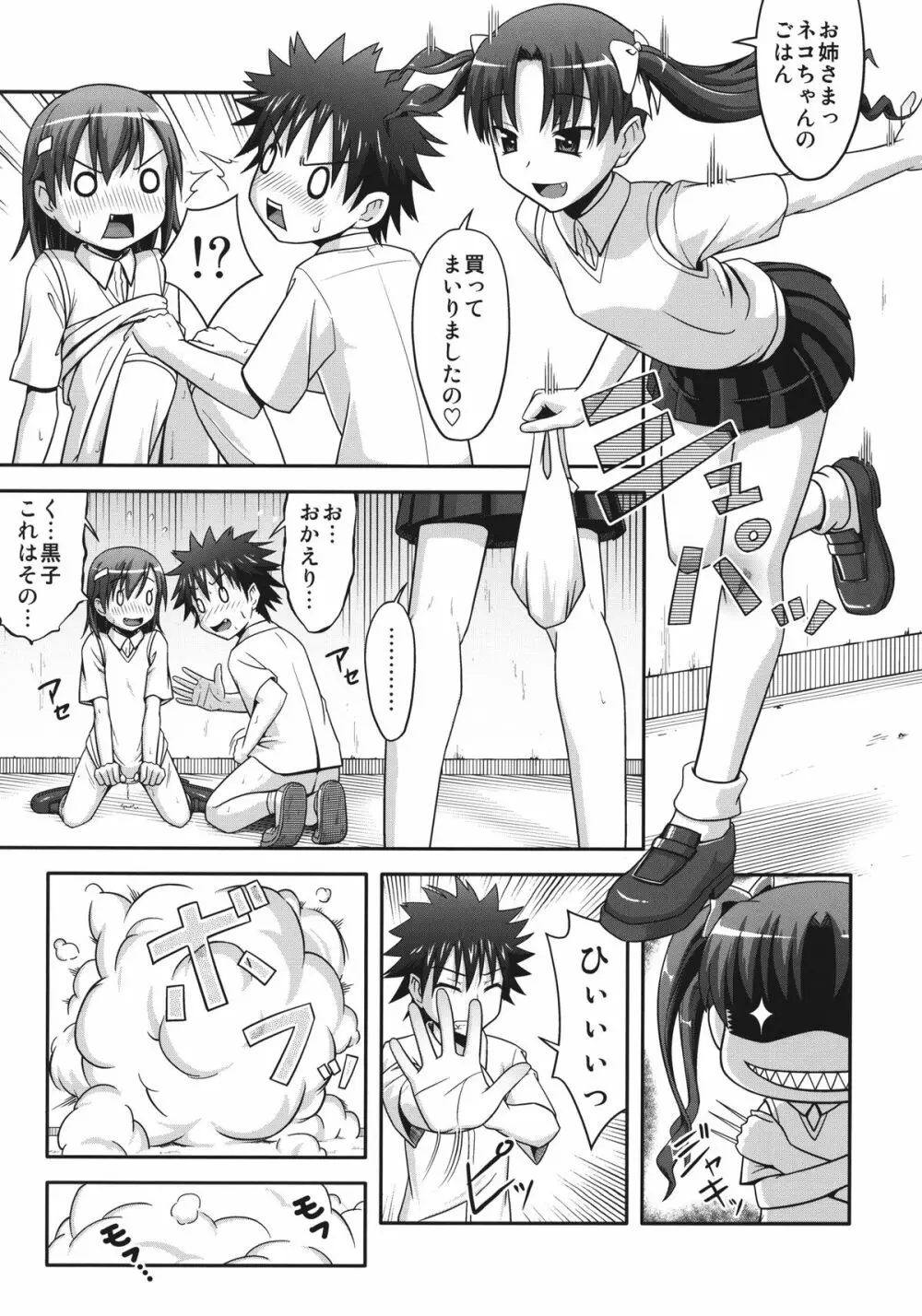 とある学者のマル秘レポート - page23