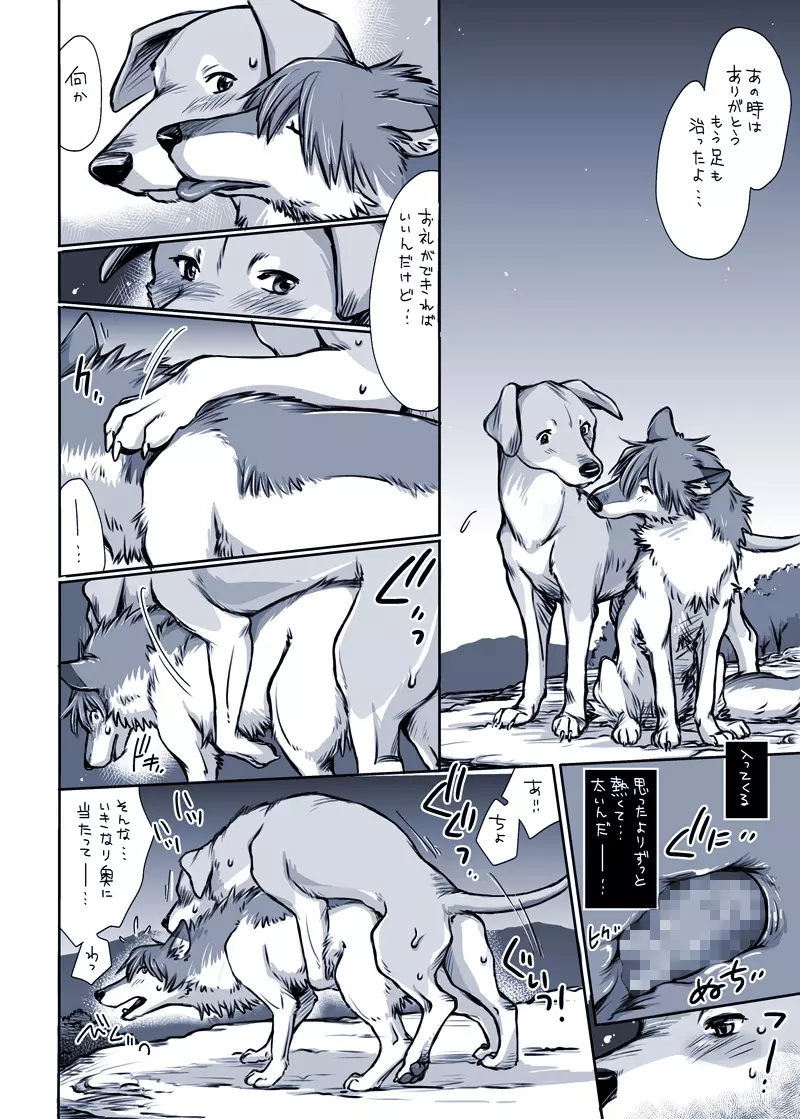 或る犬の場合 - page6