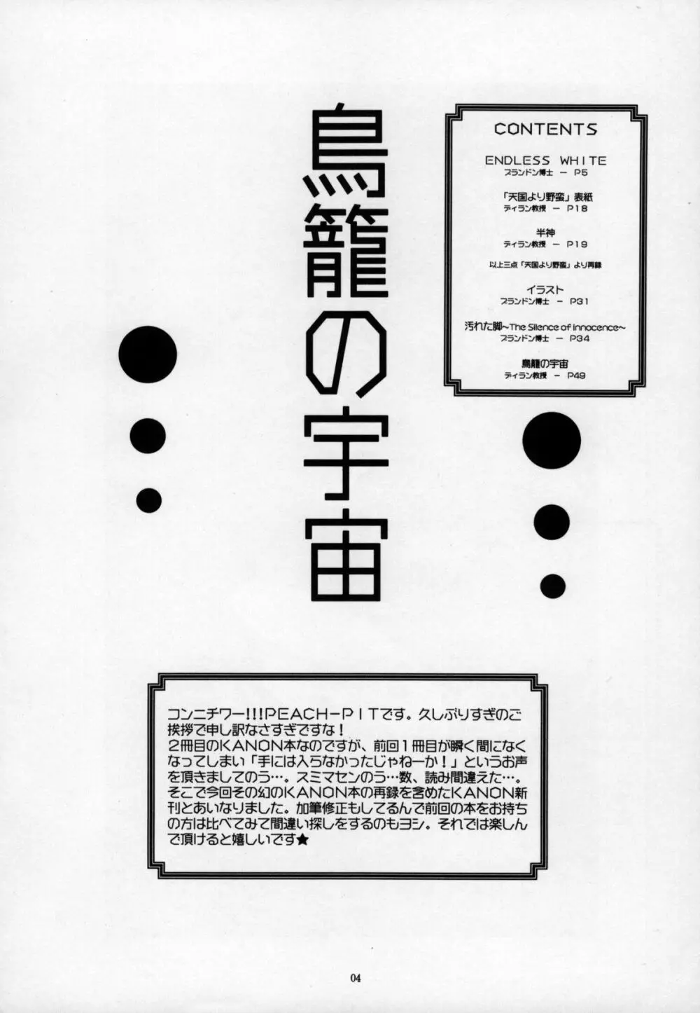 鳥籠の宇宙 - page4