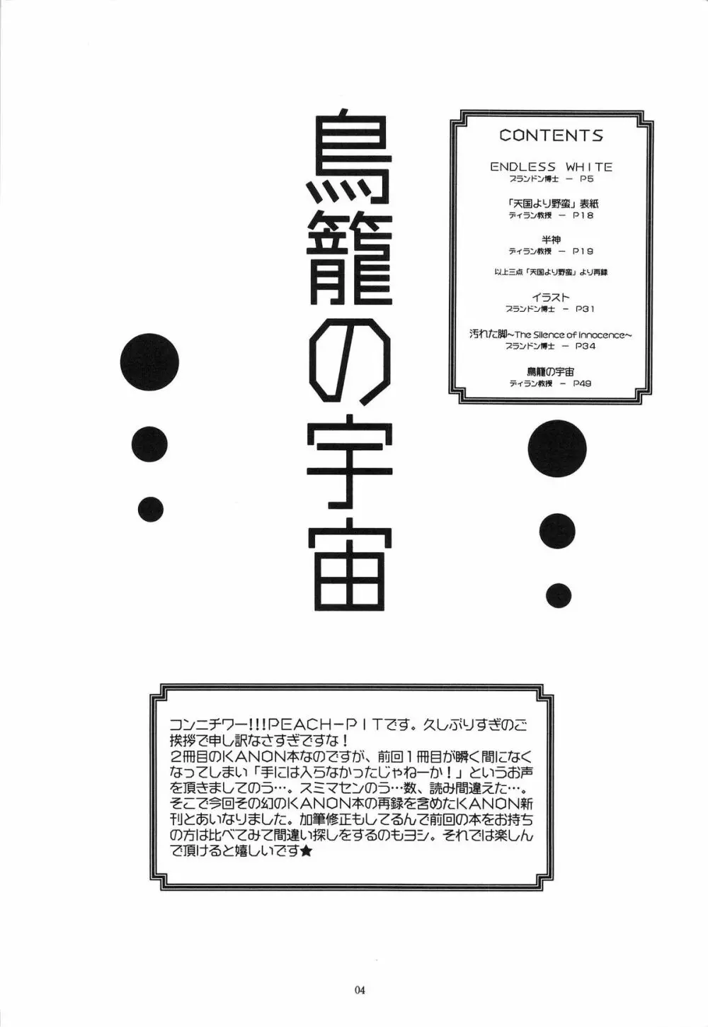 鳥籠の宇宙 - page3