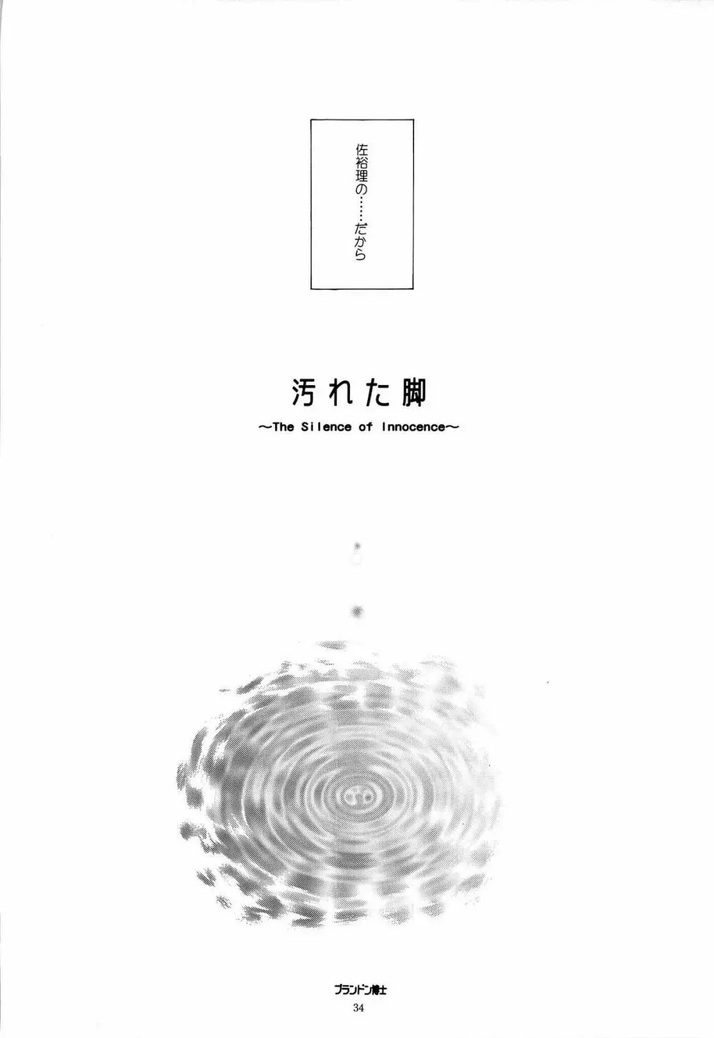 鳥籠の宇宙 - page33