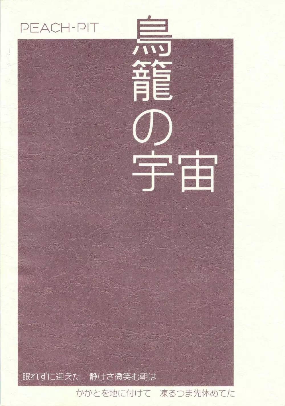 鳥籠の宇宙 - page70