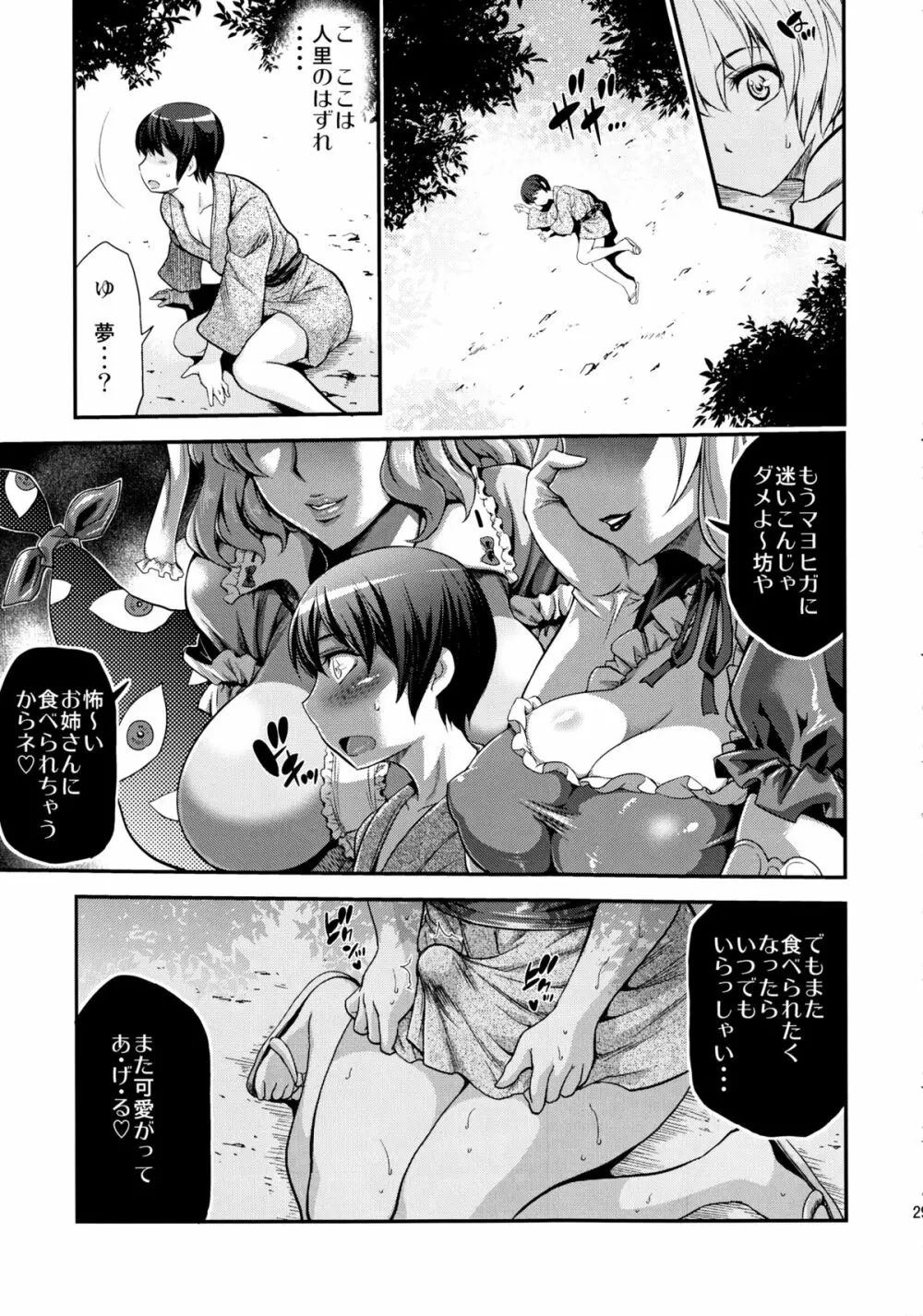 ふたなりックス東方 マヨヒガ編 - page28