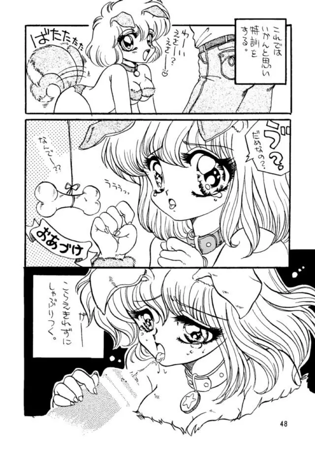 ピコピコランドEX - page47