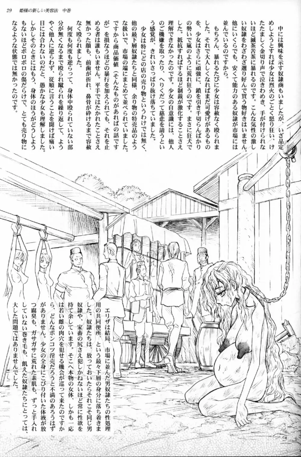 姫様の新しい美容法 中巻 - page27