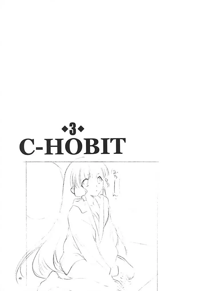 C-HOBIT 3 - page44