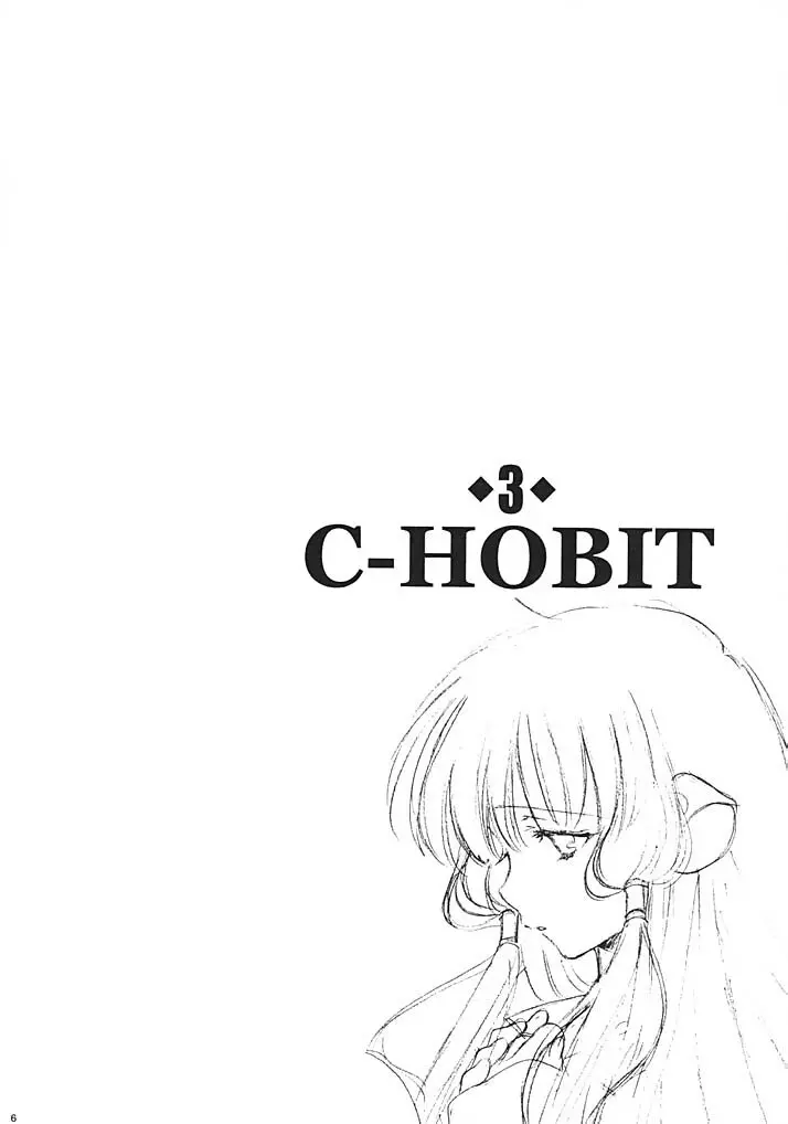 C-HOBIT 3 - page5