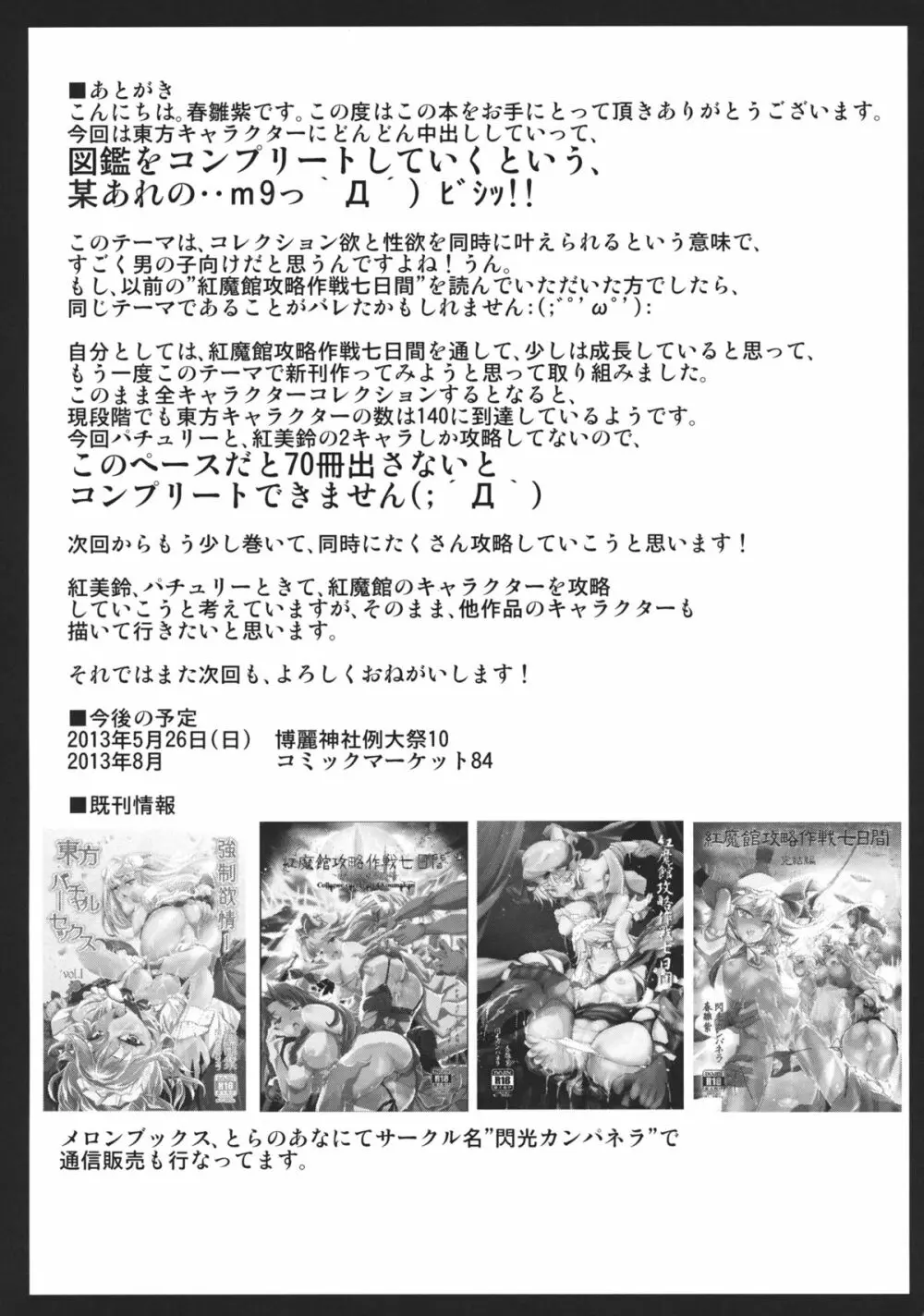 幻想郷攻略作戦 パチュリー・紅美鈴編 - page29