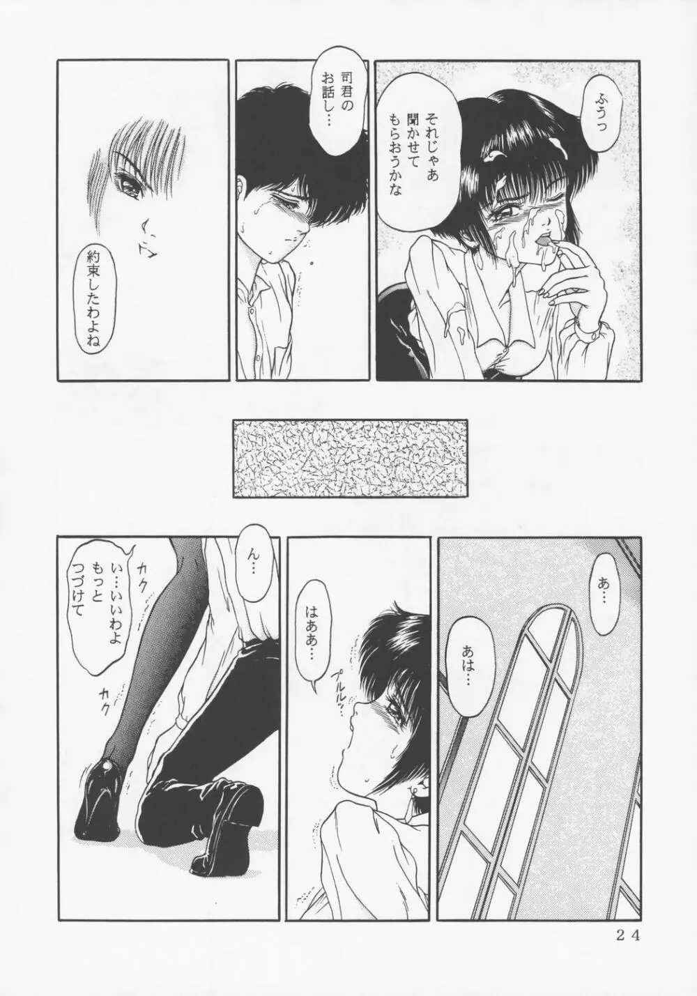 Larmes De Sang ～破滅に向かって～ - page21