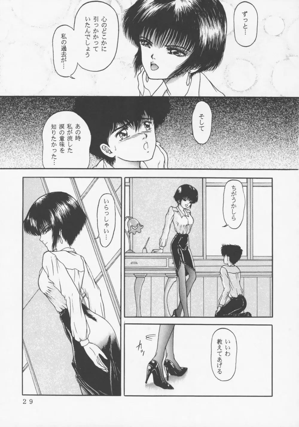 Larmes De Sang ～破滅に向かって～ - page26