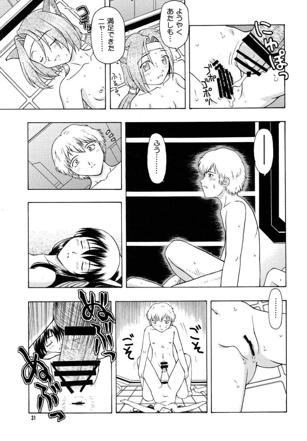 カルナス（秘）日誌 - page30