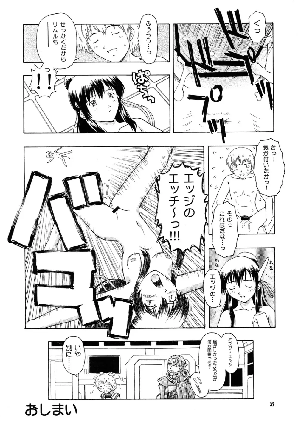 カルナス（秘）日誌 - page31