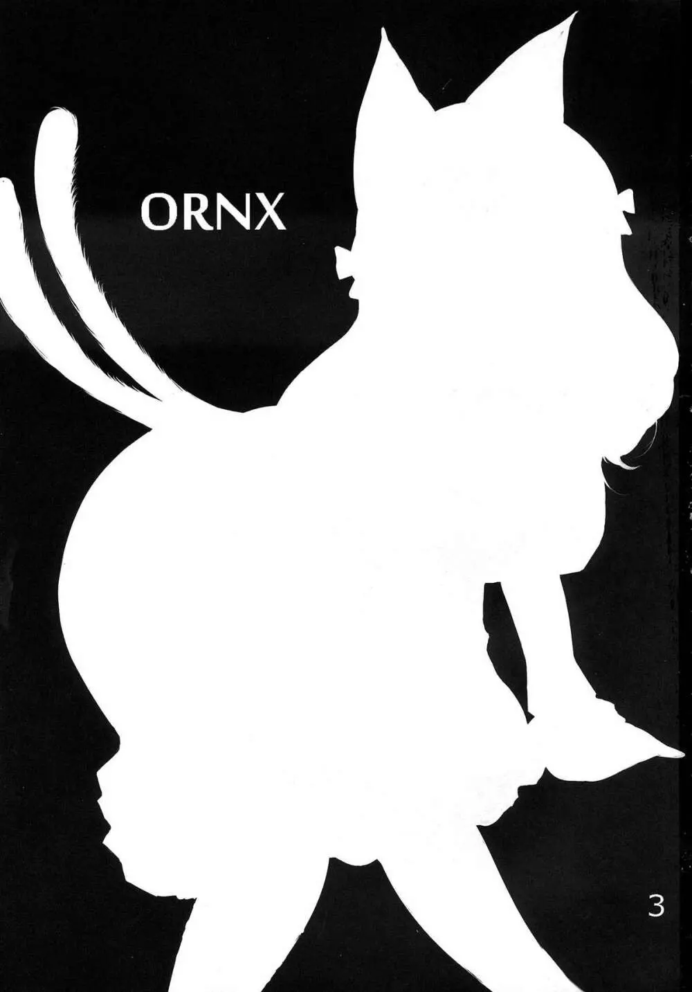 ORNX - page2