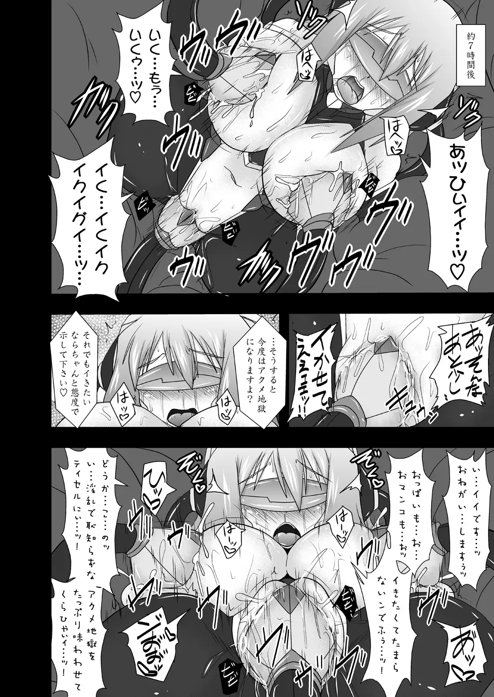 煌盾装騎エルセイン Vol.11 NETHER LABORATORY - page25