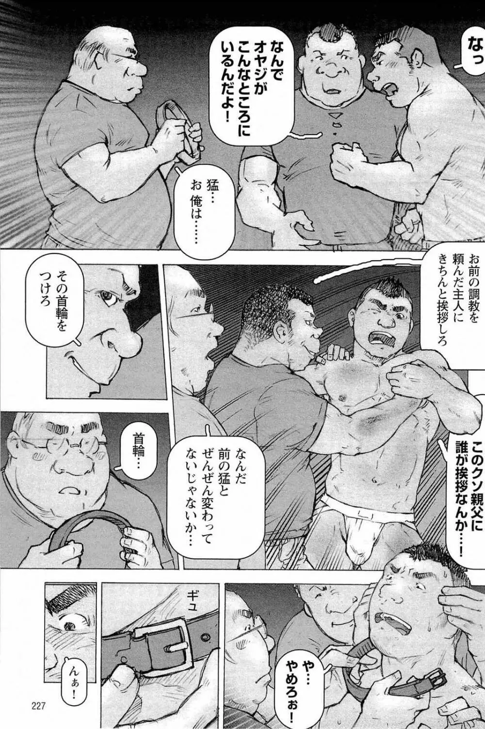 トレーニング・ドッグ - page231