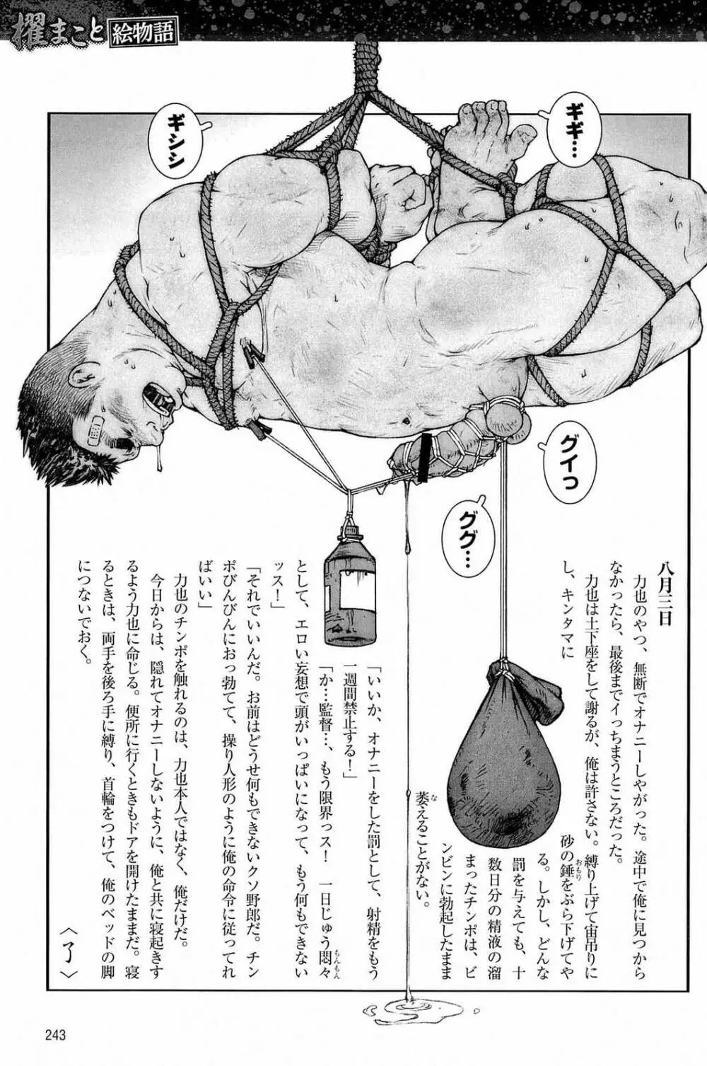 トレーニング・ドッグ - page247