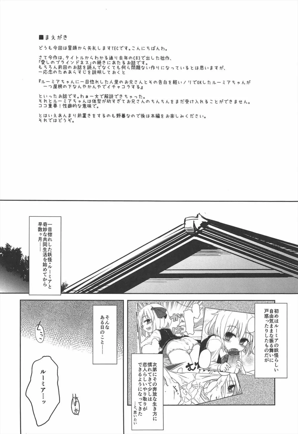 愛しのブラインドネス プラス！ - page4