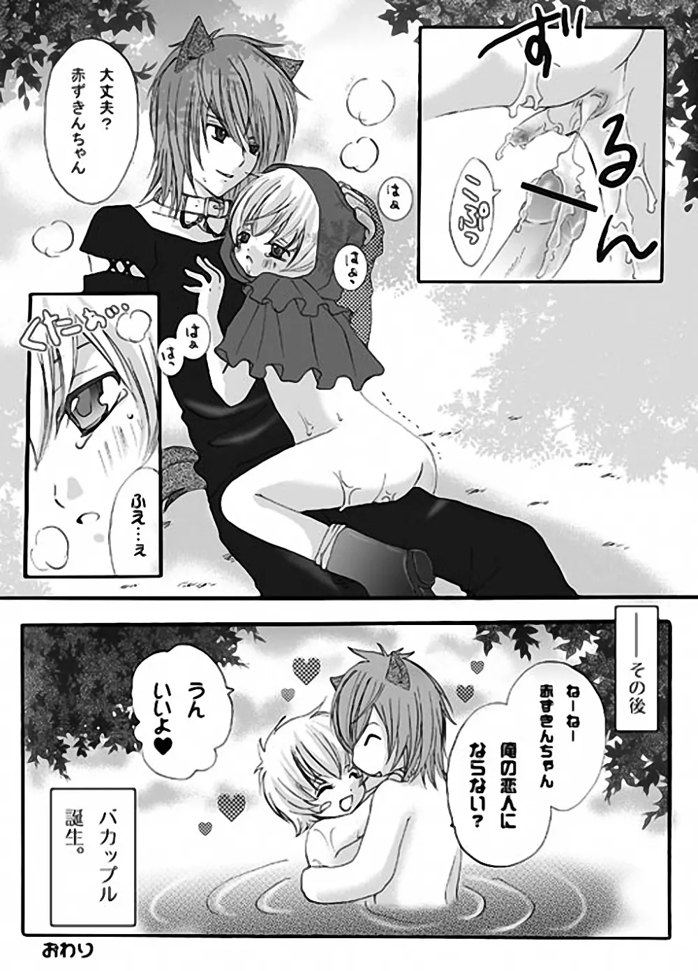 赤ずきんちゃんと狼の話 - page11