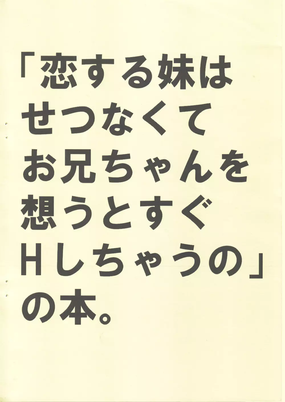 ｢恋する妹はせつなくてお兄ちゃんを想うとすぐHしちゃうの｣の本 - page14