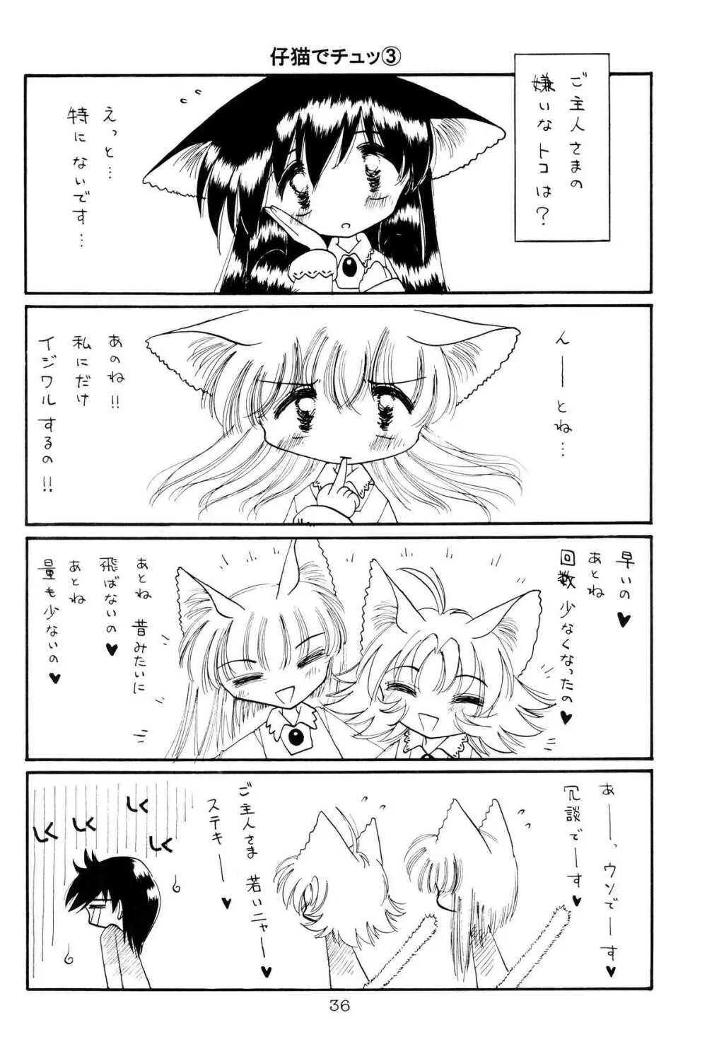 仔猫でチュッ 3 - page34