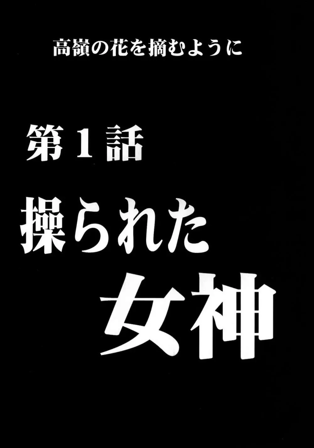 ヴァージンコントロール 高嶺の花を摘むように - page9