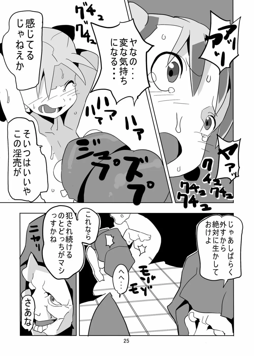 レヌール城の神隠し ～絶望的モン姦奴隷ビアンカ～ - page25