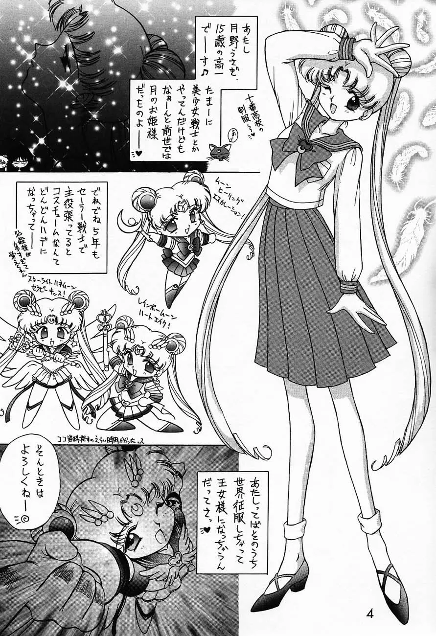 SUBMISSION SAILORMOON - page3