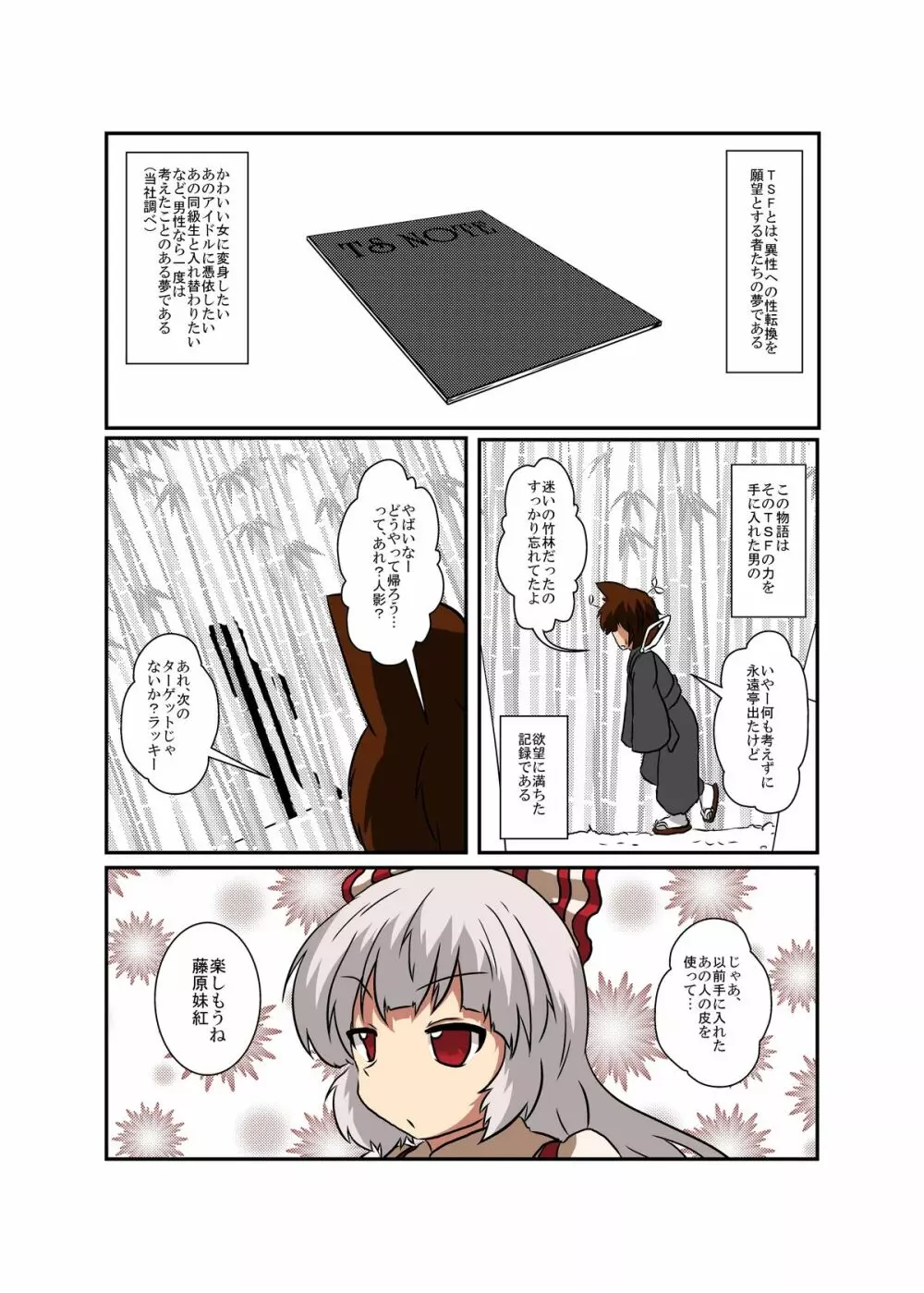 東方ＴＳ物語～妹紅編～ - page4