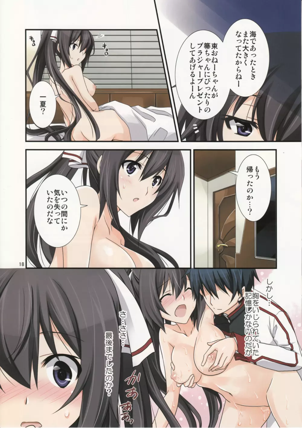 Burst Up！Infinite Stratos FAN BOOK - page17