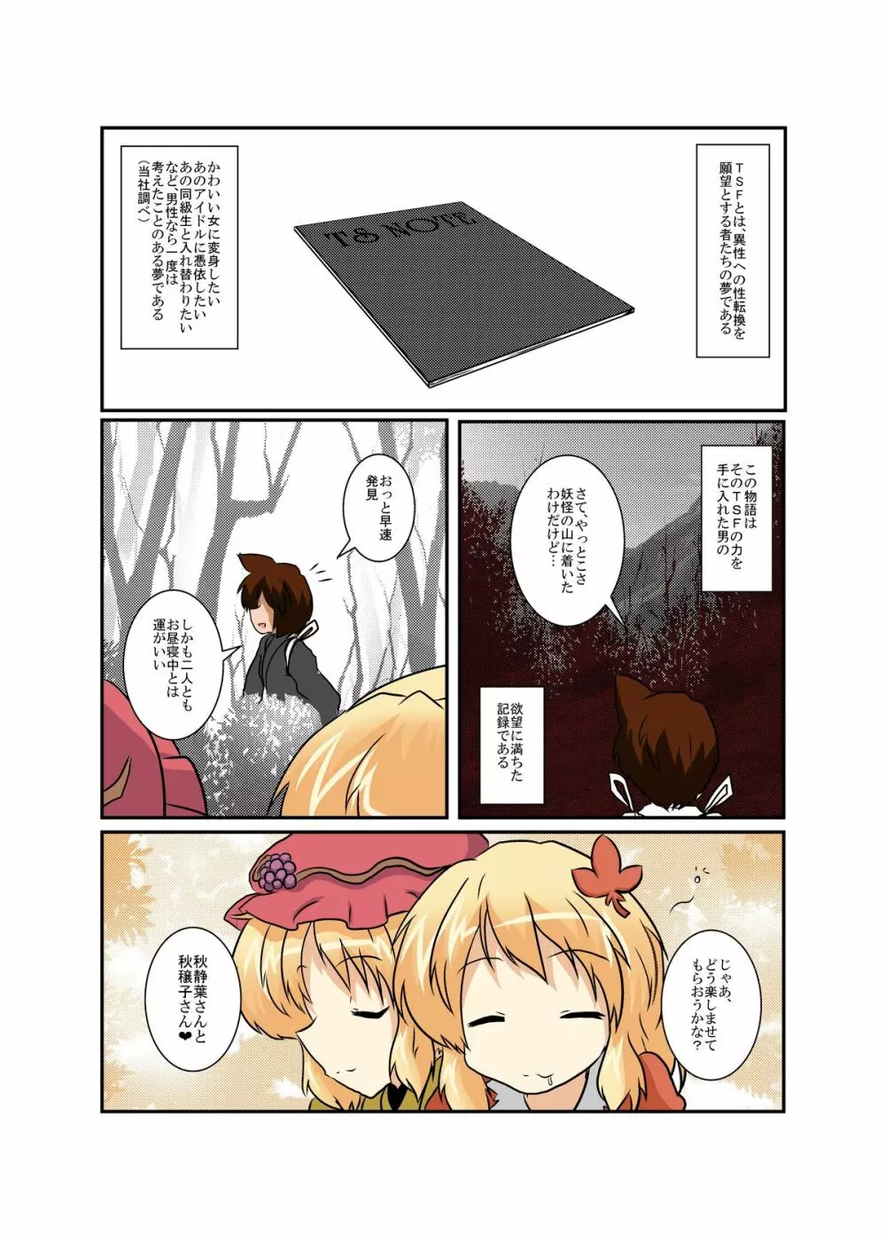 東方ＴＳ物語 ～秋姉妹編～ - page4