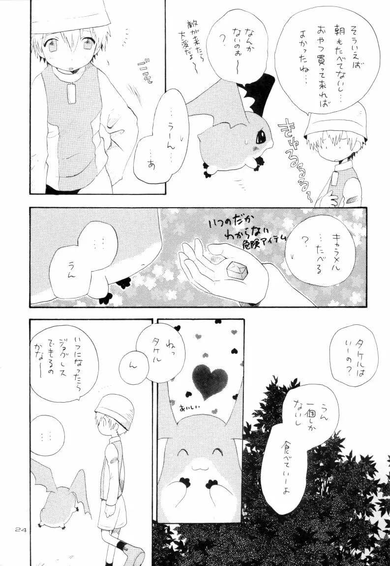 ゼンダ城の虜 - page25