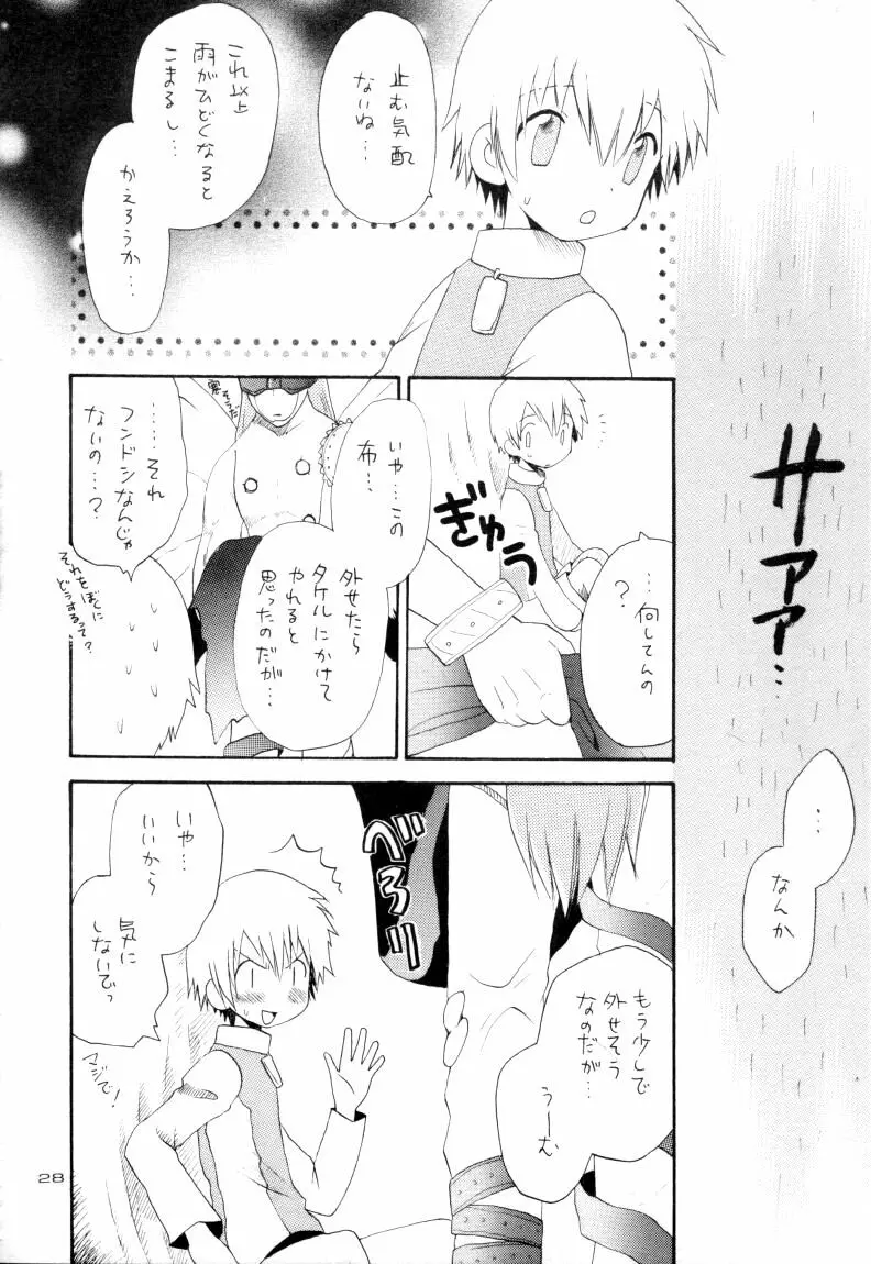 ゼンダ城の虜 - page29