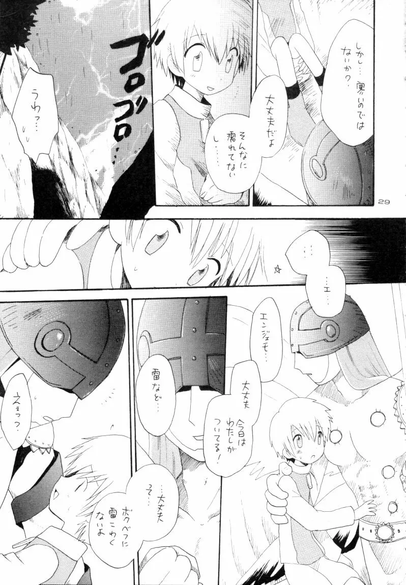 ゼンダ城の虜 - page30